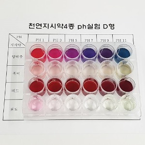 천연지시약(pH실험)(D형,4종)(4인용)